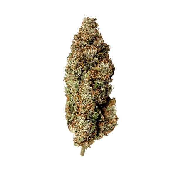 Royal Runtz - Royal Queen Seeds 3 Samen